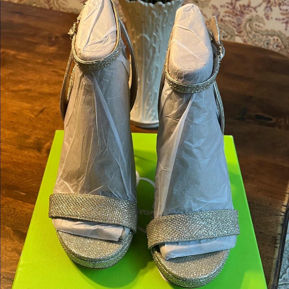 Sam Edelman Glittering Silver Heels